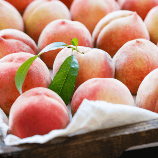Tender Peach