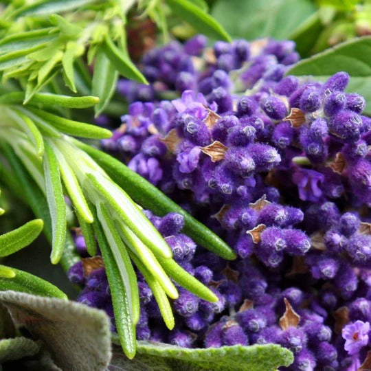 lavender perfume note to make a signature scent - custom fragrance creation studio niche perfume store  Atlanta