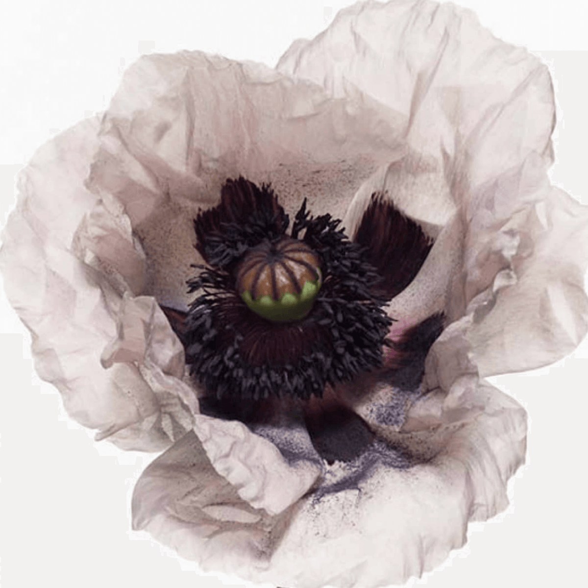 Bouquet de Hongrie by BDK in ATLANTA only at INDIEHOUSE modern fragrances