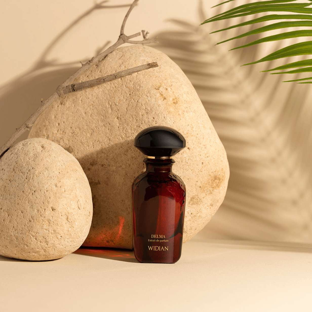 DELMA by WIDIAN in Atlanta only at INDIEHOUSE modern fragrances