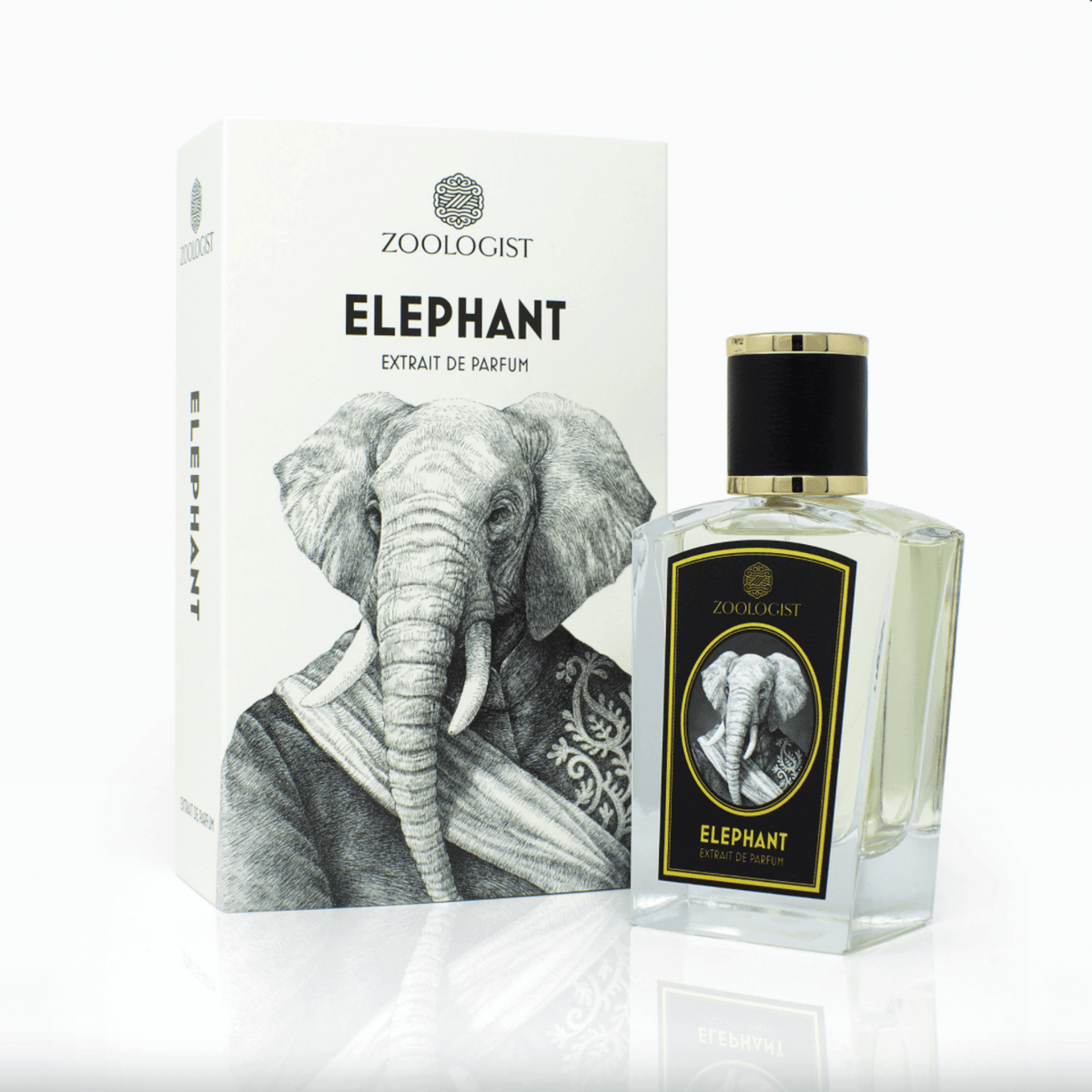 Elephant with box